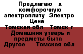 Предлагаю 4-х комфорочную электроплиту “Электро 1006“ › Цена ­ 3 000 - Томская обл., Томск г. Домашняя утварь и предметы быта » Другое   . Томская обл.